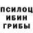 Галлюциногенные грибы прущие грибы TradeGenic Gurus
