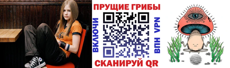 blacksprut зеркало  сайты даркнета Telegram  Галлюциногенные грибы MAGIC MUSHROOMS  Дудинка 